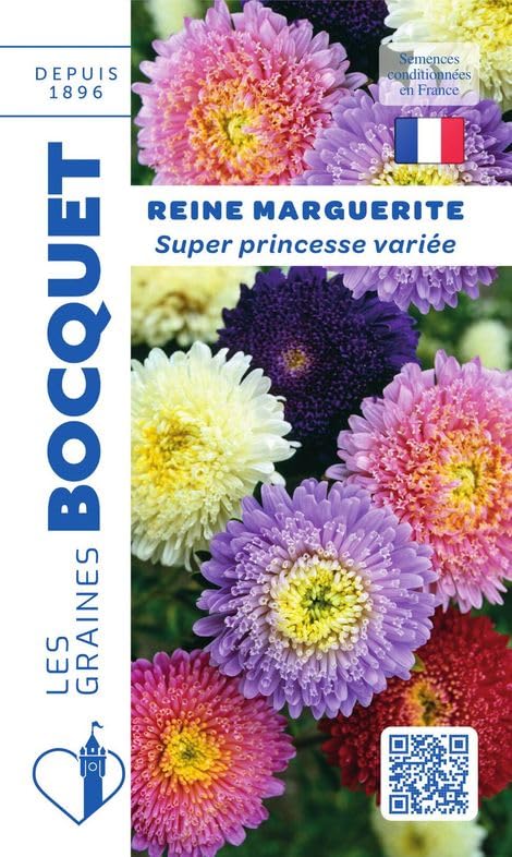 graines-bocquet-reine-marguerite-superprincesse-vari-e-graines-fleurs-0-8-g image 1