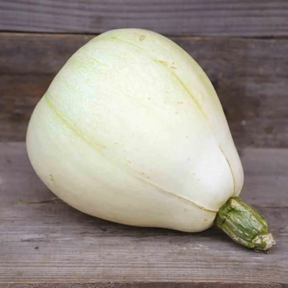 ferme-de-sainte-marthe-tennessee-sweet-potato-courge-bio image 1