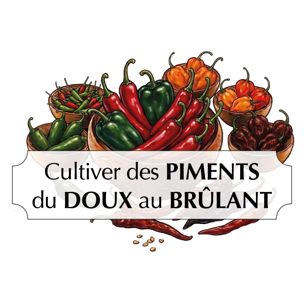 ferme-de-sainte-marthe-cultiver-des-piments-coffret-graines-5-vari-t-s image 1