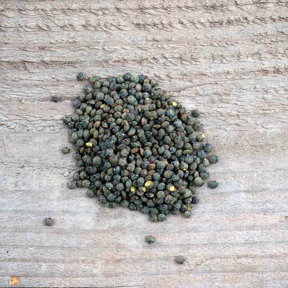 ferme-de-sainte-marthe-lentille-anicia-graines-bio-verte-fine image 1