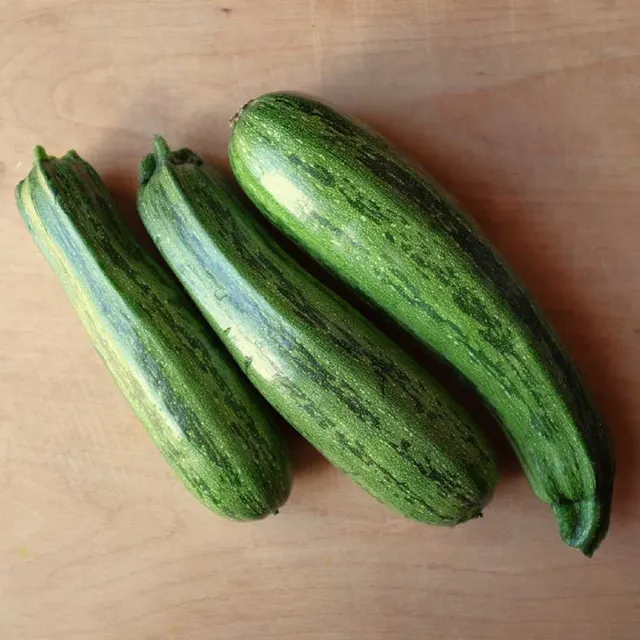 la-bo-te-graines-courgette-nimba-bio-graines-vert-clair-stri image 1