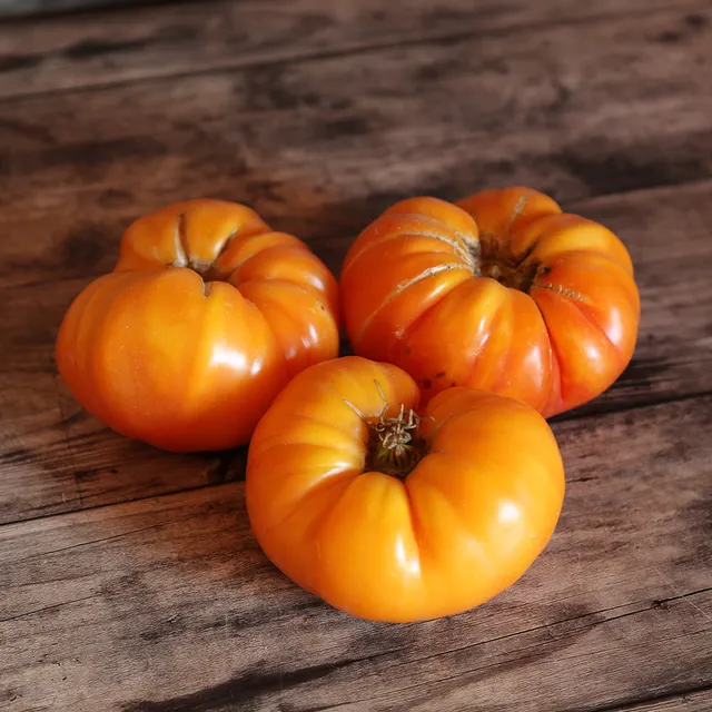 ferme-de-sainte-marthe-tomate-ananas-graines-de-tomate-bio-gros-fruits image 1