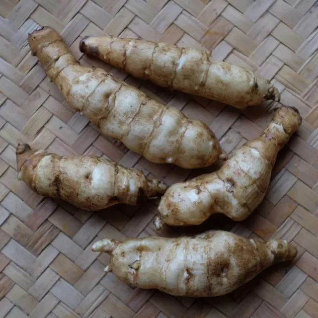 la-bo-te-graines-h-lianti-bio-graines-potag-res-rhizomes image 1