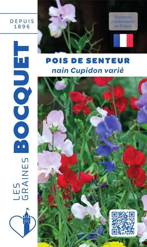 graines-bocquet-cupidon-vari-graines-pois-de-senteur-5-g-nain image 1
