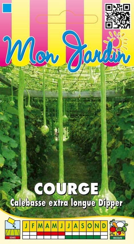 graines-bocquet-courge-calebasse-dipper-graines-3-g-d-corative image 1