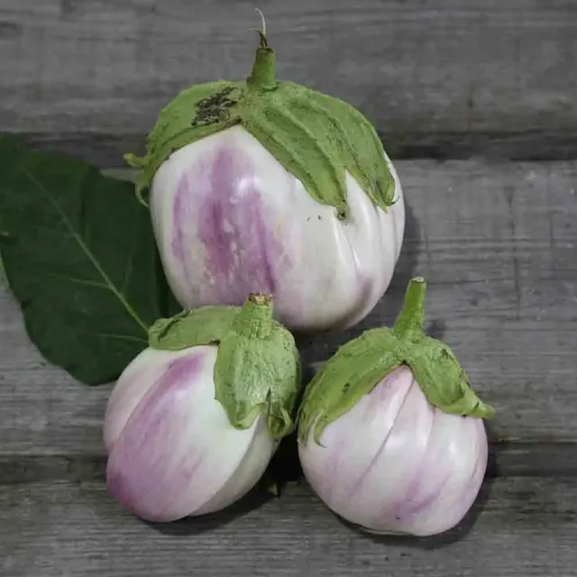 ferme-de-sainte-marthe-aubergine-florence-graines-bio-stri-e image 1