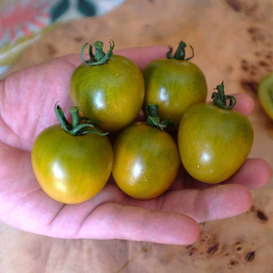 la-bo-te-graines-tomate-raisin-vert-bio-graines-cerise-sucr-e image 3