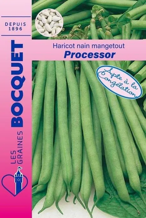 graines-bocquet-haricot-nain-processor-graines-115-g-cong-lation image 1