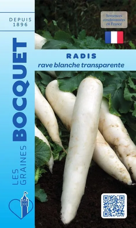graines-bocquet-radis-rave-blanche-transparente-graines-potag-res-10-g image 1