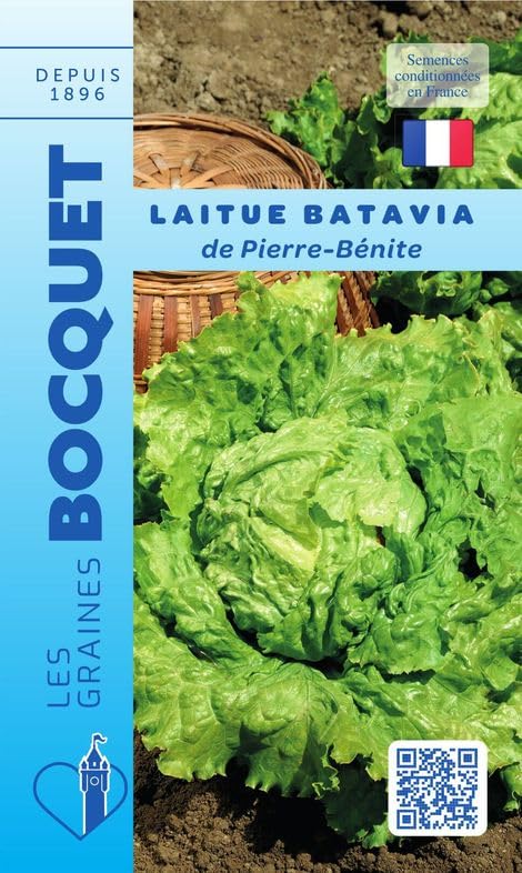 graines-bocquet-laitue-batavia-pierre-b-nite-graines-4-g-t image 1
