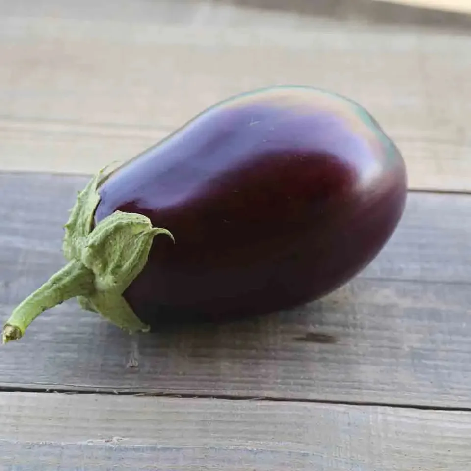 ferme-de-sainte-marthe-monstrueuse-de-new-york-aubergine-bio image 1