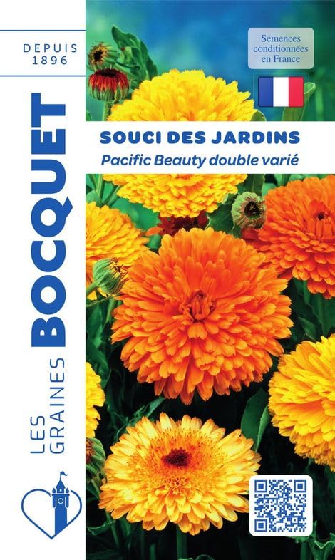 graines-bocquet-pacific-beauty-graines-de-souci-3-g-double-vari image 1