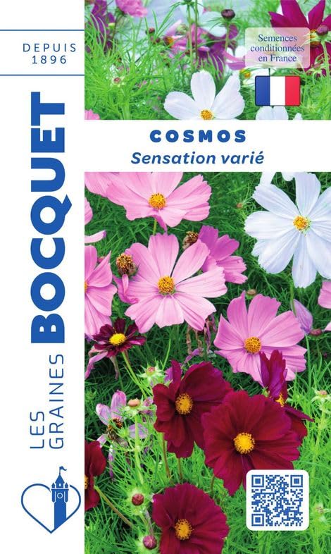 graines-bocquet-fleurs-cosmos-sensation-vari-graines-1-5-g-haute image 1