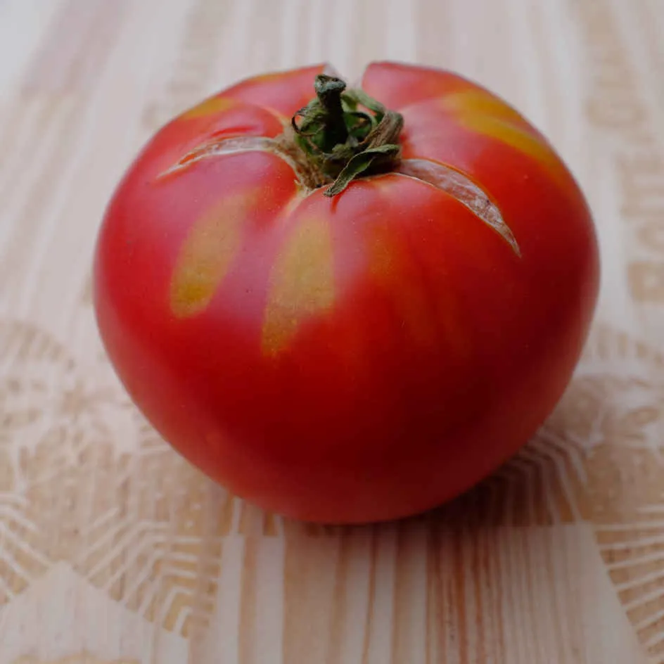 la-bo-te-graines-tomate-savignac-graines-l-gumes-bio-rose image 1