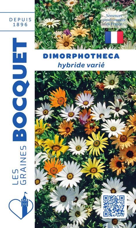 graines-bocquet-dimorphoth-ca-hyb-vari-graines-fleurs-1-g-annuelle image 1