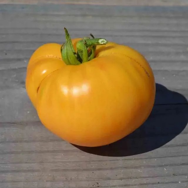 ferme-de-sainte-marthe-big-white-pink-stripes-tomate-bio image 1