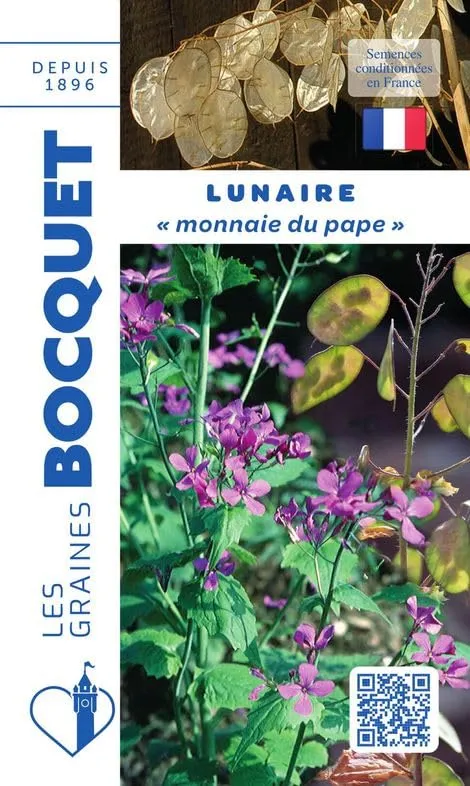 graines-bocquet-lunaire-monnaie-du-pape-graines-fleurs-2-g image 1