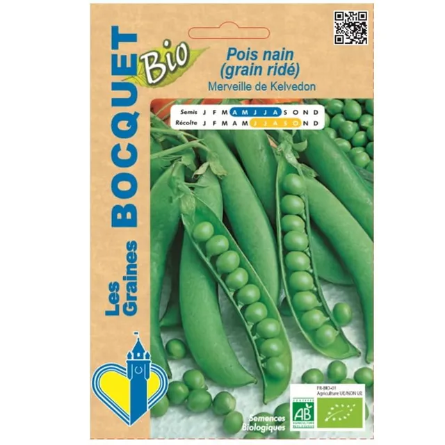 graines-bocquet-pois-nain-kelvedon-graines-bio-100g-rid image 1