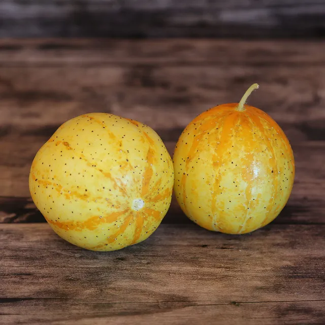 ferme-de-sainte-marthe-lemon-graines-concombre-jaune-citron-bio image 1