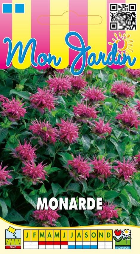 graines-bocquet-monarde-graines-fleurs-rose-pourpre-1-g-annuelle image 1