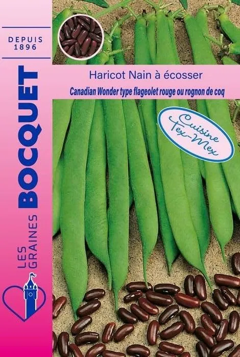 graines-bocquet-canadian-wonder-haricot-nain-cosser-115-g image 1
