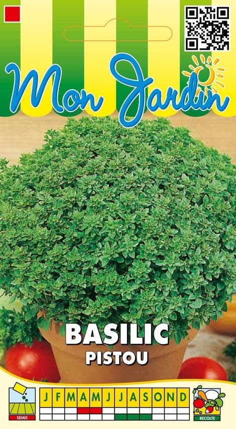 graines-bocquet-basilic-pistou-graines-aromatiques-0-5-g image 1
