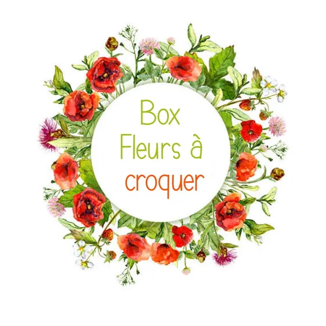 graines-bocquet-box-fleurs-croquer-coffret-7-sachets-comestibles image 1