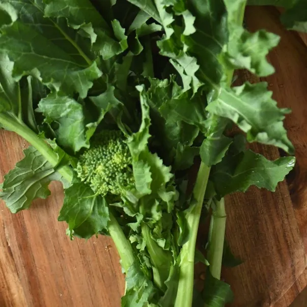 la-bo-te-graines-brocolis-cima-di-rapa-graines-italienne image 1
