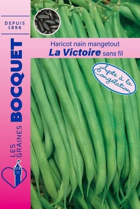 graines-bocquet-haricot-nain-mangetout-la-victoire-graines-120-g image 1