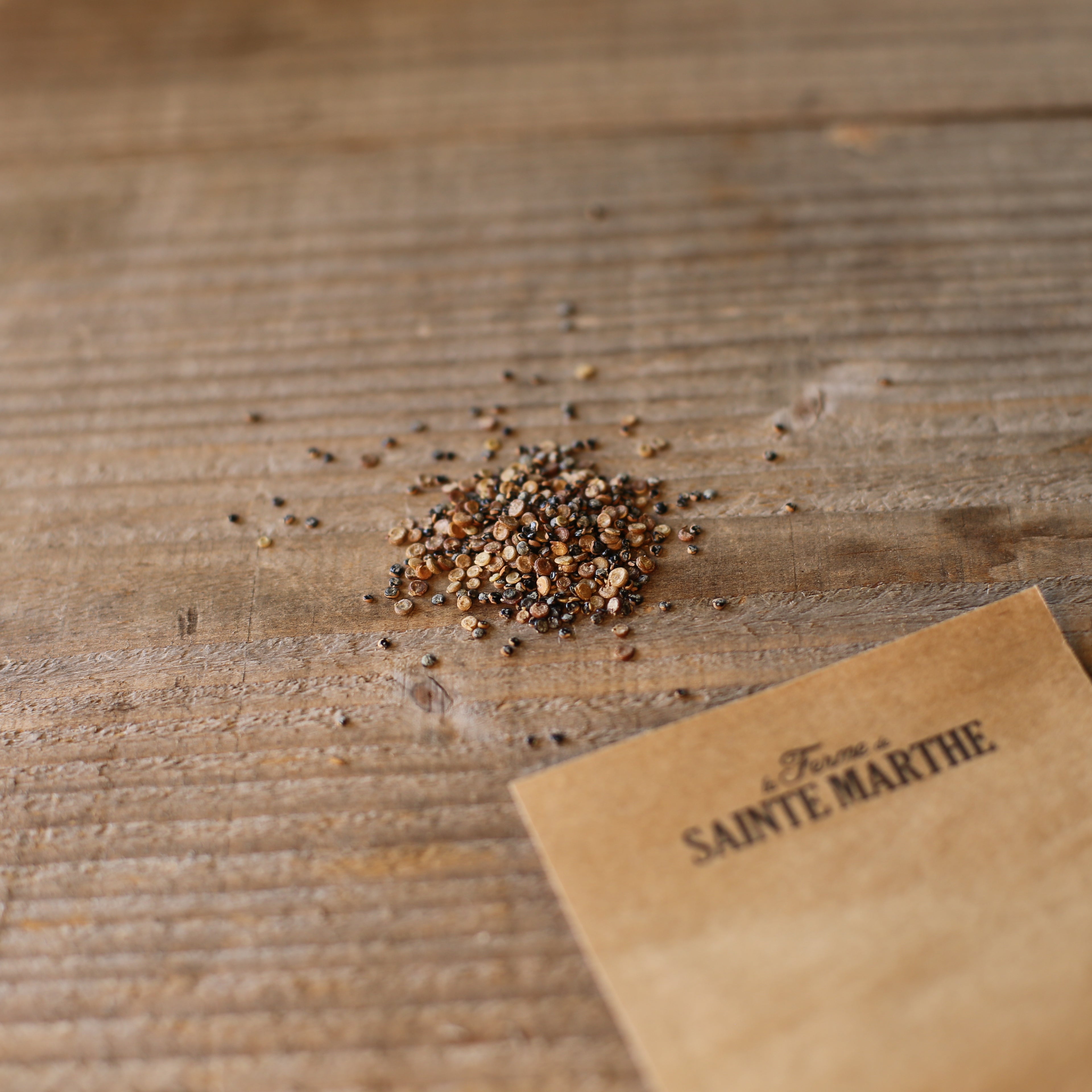 ferme-de-sainte-marthe-arroche-verte-sachet-bio-pinard-2-m image 2