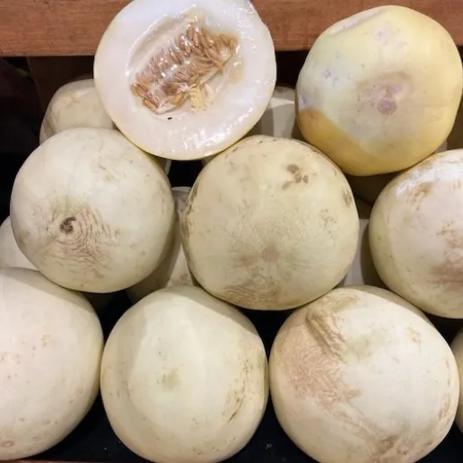 la-bo-te-graines-melon-sakata-sweet-bio-graines-l-gumes-sucr image 1
