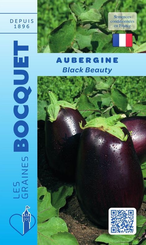 graines-bocquet-aubergine-black-beauty-graines-1g-pr-coce image 1