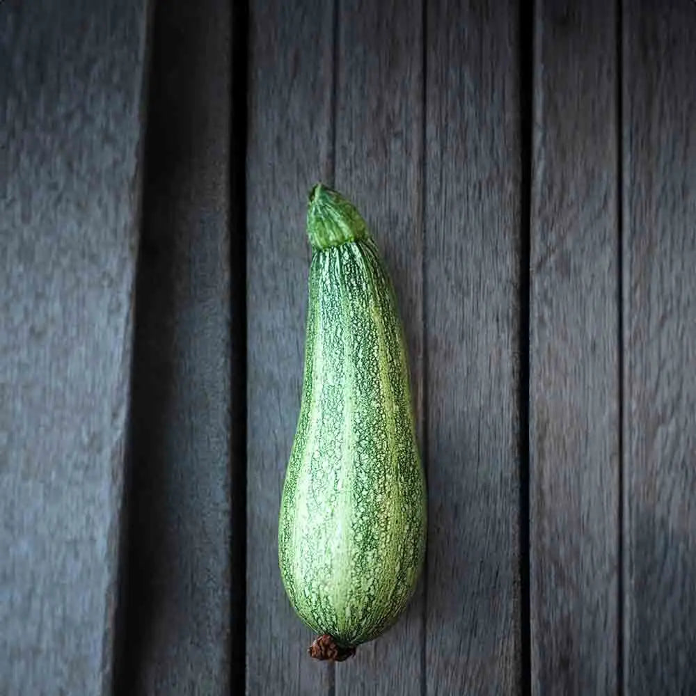 ferme-de-sainte-marthe-courgette-caserta-ab-graines-bio-productives image 1