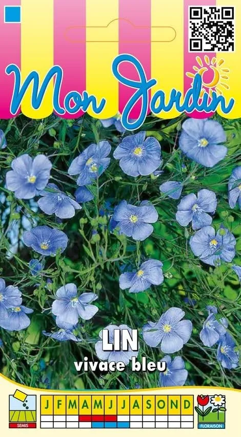 graines-bocquet-lin-vivace-bleu-graines-fleurs-2g-touffe-40cm image 1