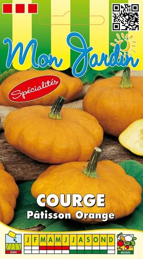 graines-bocquet-p-tisson-orange-graines-courge-3-g image 1