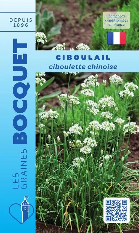 graines-bocquet-ciboulail-graines-aromatiques-1-g-vivace image 1