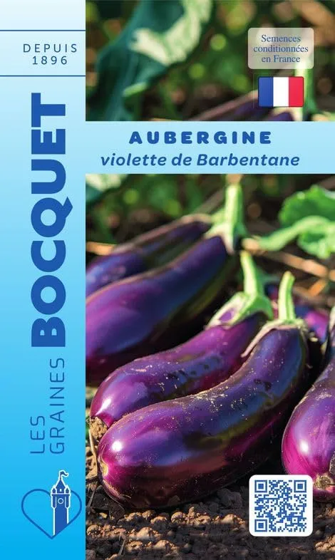 graines-bocquet-aubergine-violette-de-barbentane-graines-1-5-g-pr-coce image 1