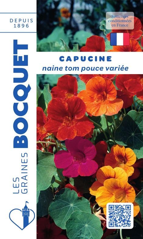 graines-bocquet-capucine-naine-tom-pouce-fleurs-5-g-vari-e image 1