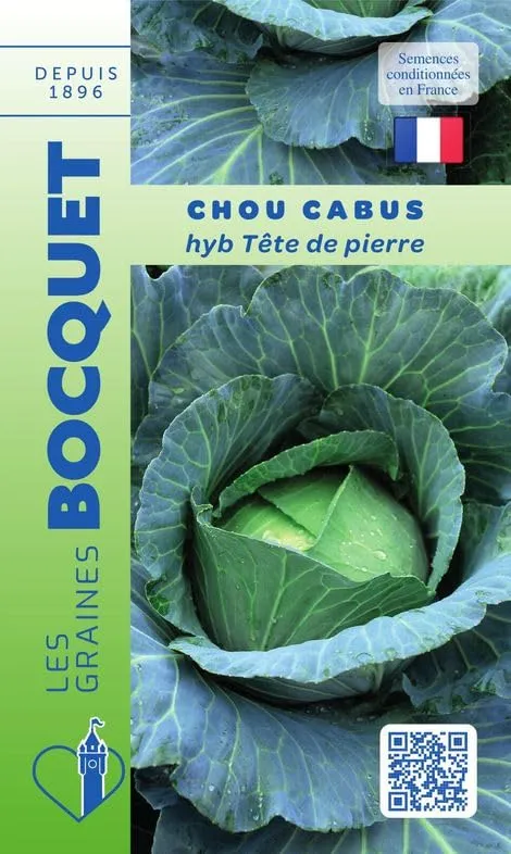 graines-bocquet-chou-cabus-t-te-de-pierre-f1-graines-0-3-g image 1