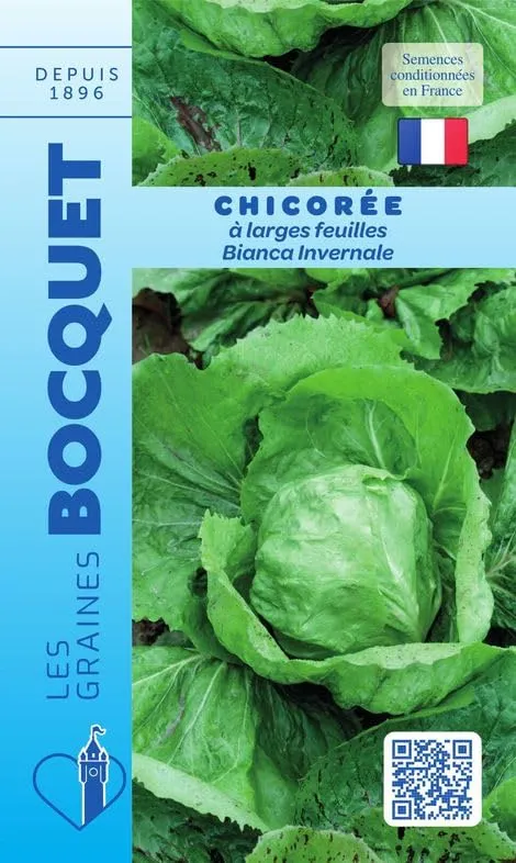 graines-bocquet-chicor-e-bianca-invernale-potag-res-3-g-salade image 1