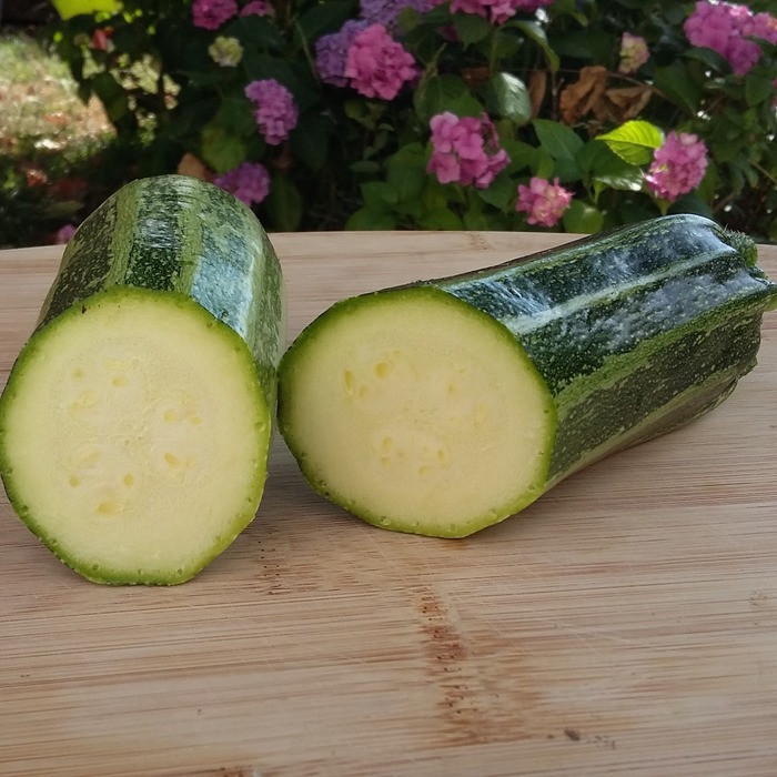 les-semences-de-l-ombelle-courgette-cocozelle-von-tripolis-graines image 2