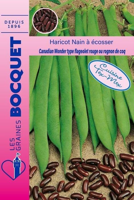 graines-bocquet-canadian-wonder-haricot-nain-cosser-115-g image 1