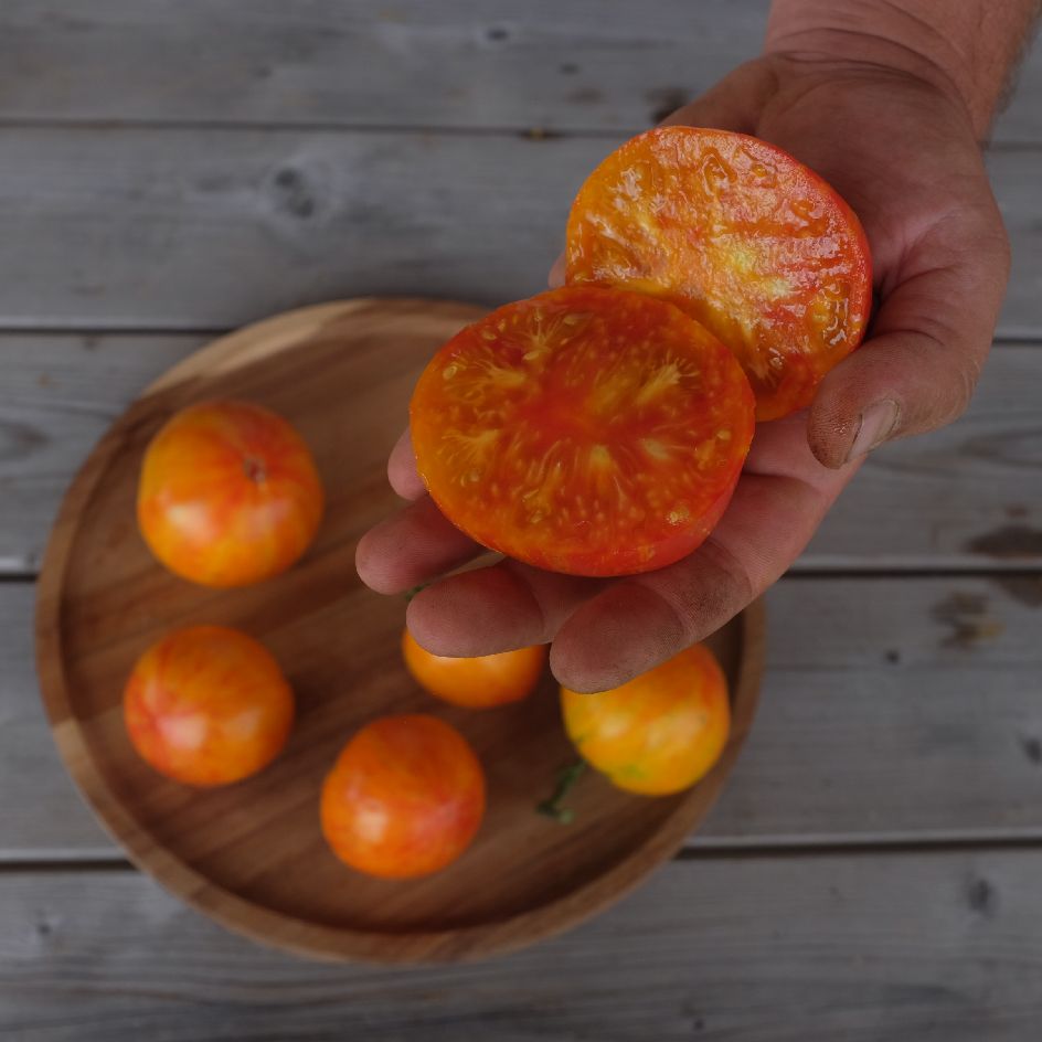 la-bo-te-graines-tomate-copia-graines-bio-beefsteak-douce image 2