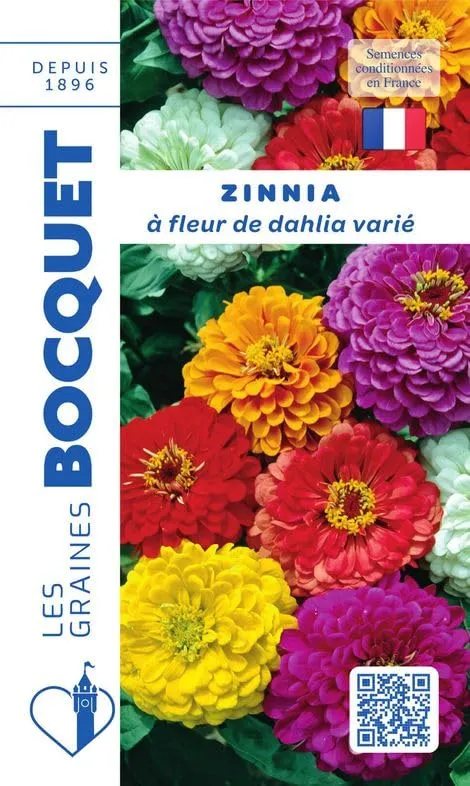 graines-bocquet-zinnia-dahlia-vari-graines-fleurs-1-g-90-cm image 1