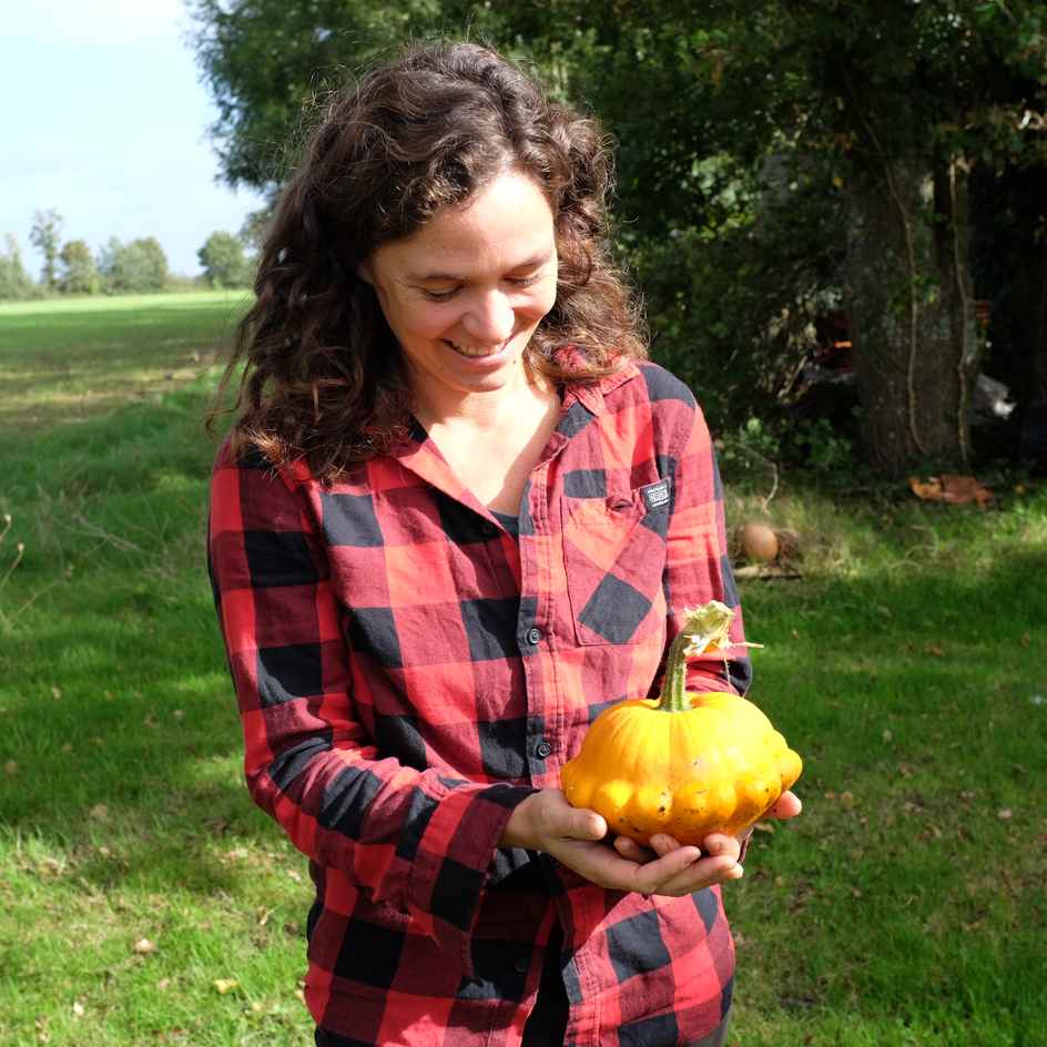 la-bo-te-graines-courge-p-tisson-orange-graines-bio-toile image 2