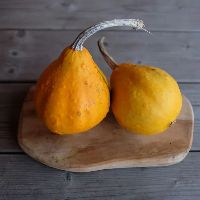 la-bo-te-graines-courge-lemon-graines-bio-chair-tendre image 1
