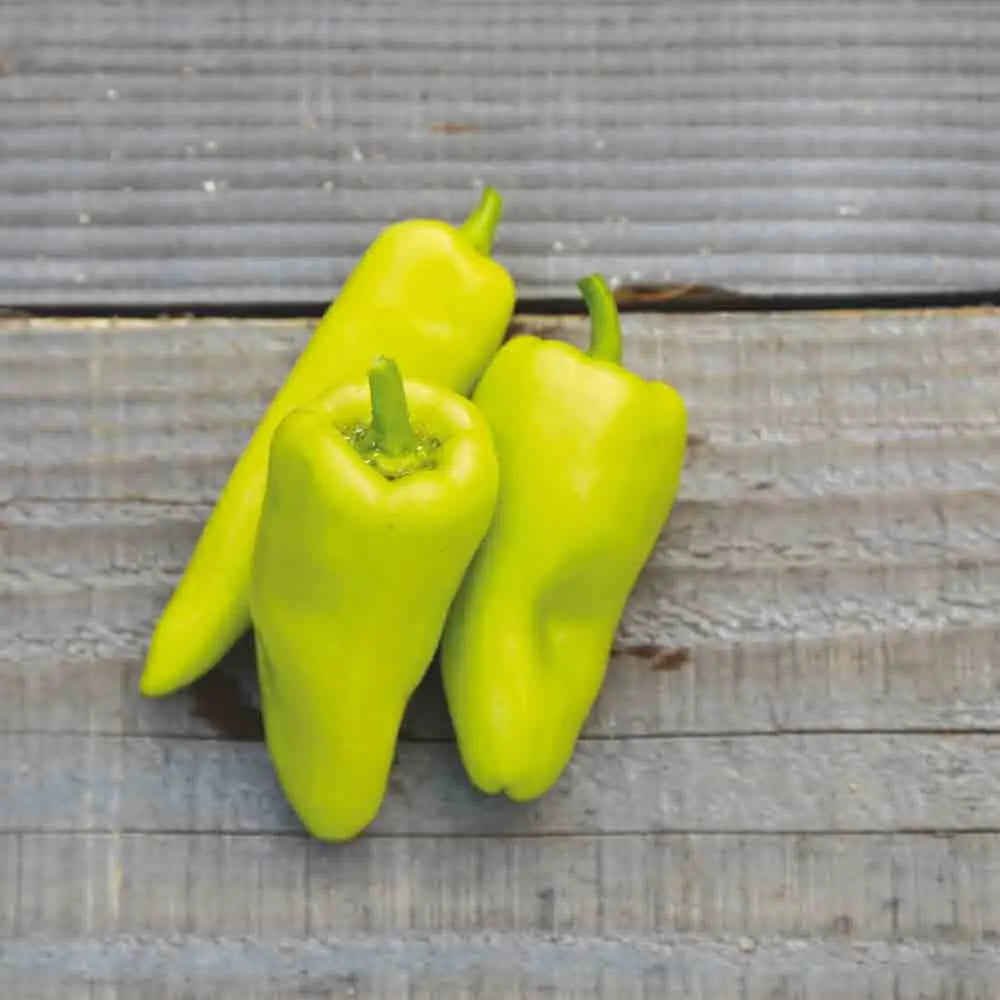 ferme-de-sainte-marthe-poivron-sweet-banana-graines-potag-res-bio-doux image 1