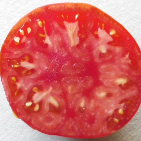 la-bo-te-graines-graines-l-gumes-tomate-saint-pierre-bio image 1