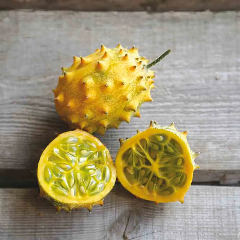 ferme-de-sainte-marthe-concombre-kiwano-graines-potag-res-sachet-bio image 1
