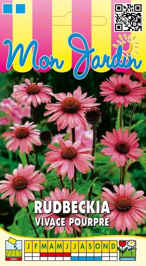 graines-bocquet-rudbeckia-vivace-pourpre-fleur-vivace-1-g image 1